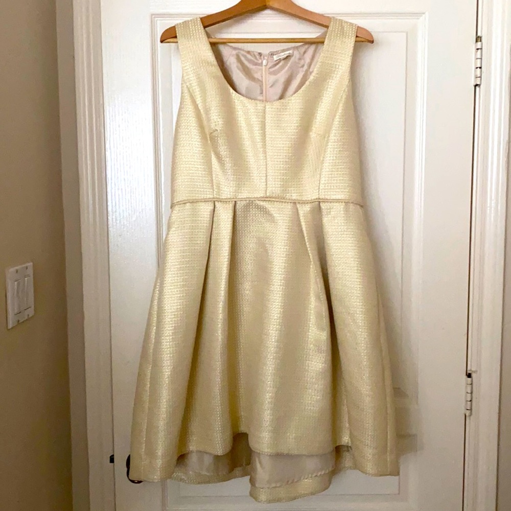 Shoshanna pale gold dress NWT Sz 12